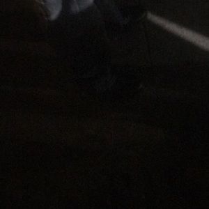 Meet your Posher, George